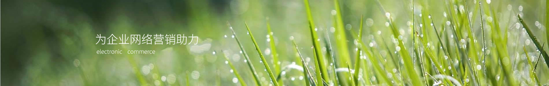 ڿʶ޹˾